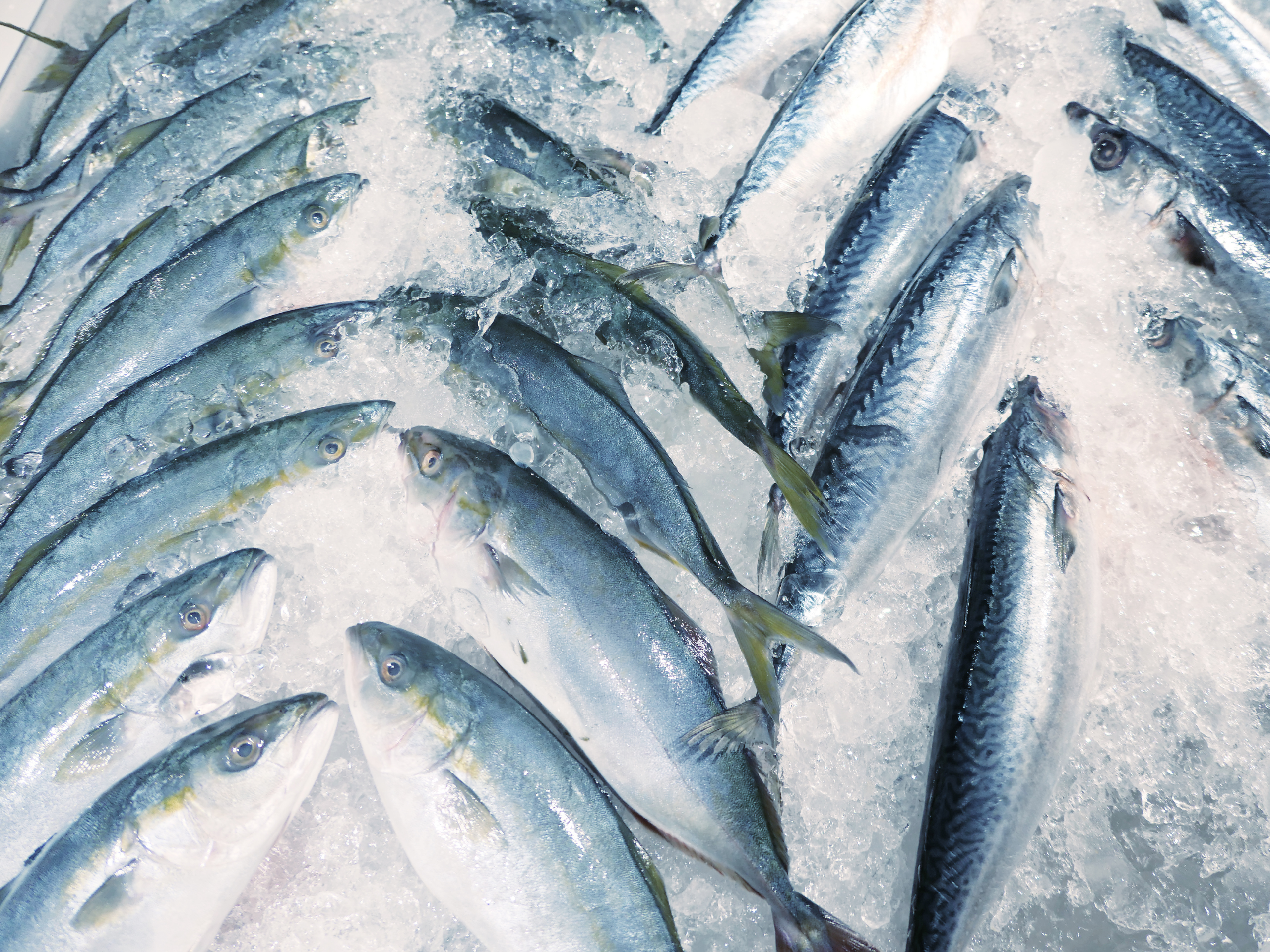 Frozen stored fish