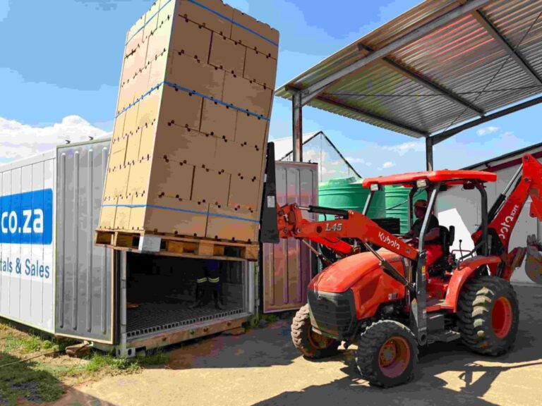 Boxes of fresh fruit being loaded into an Almar refrigerated container for agricultural cold storage