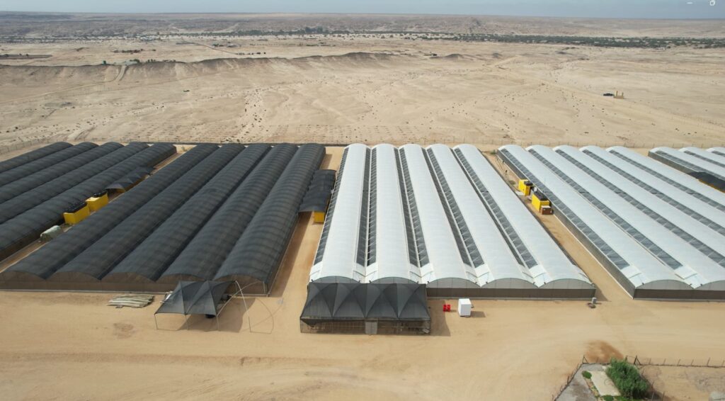 Namsnails Farm in the heart of Namibia