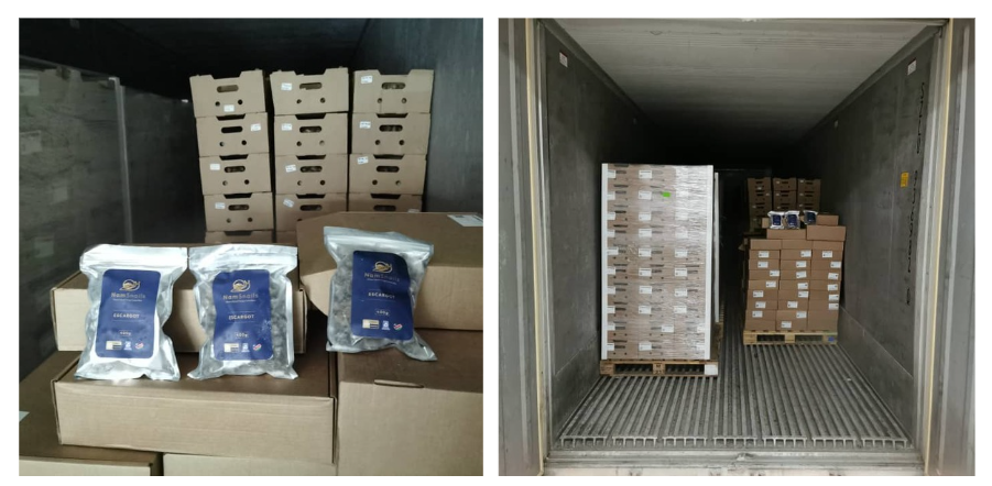Namsnails stores high quality snails for the global market