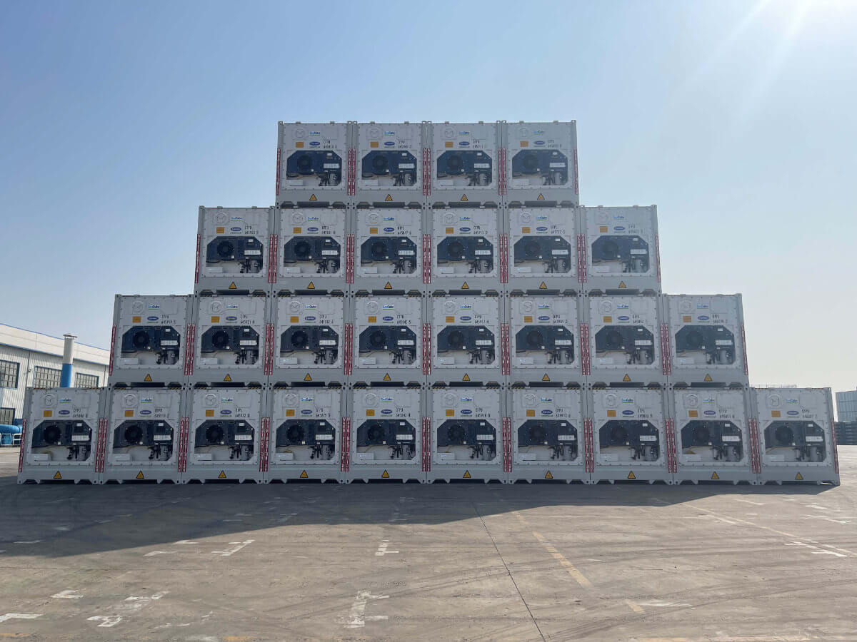 Shipping Containers Sizes in South Africa What Size Suits Your Needs