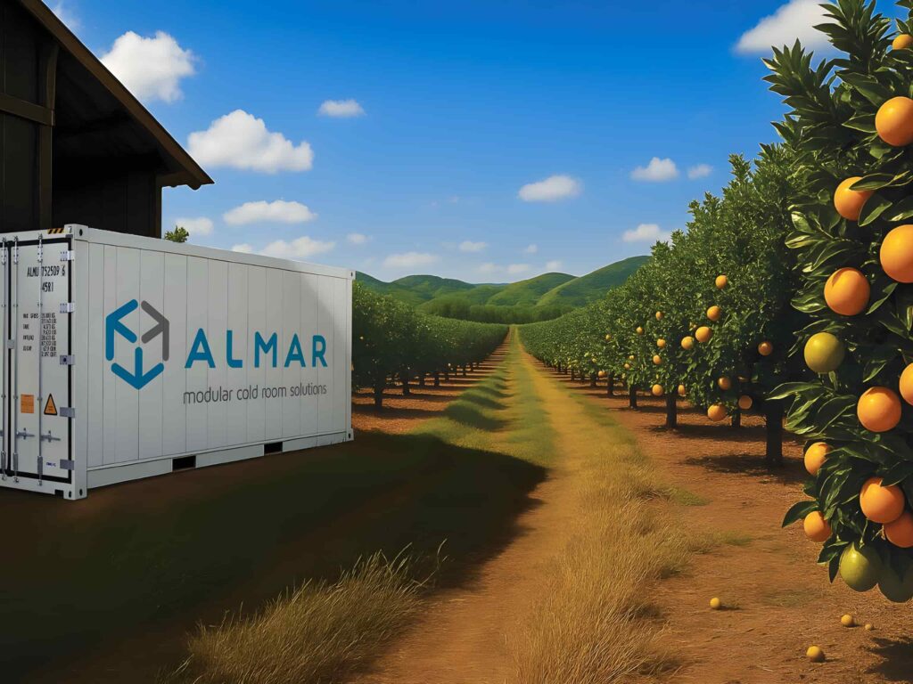 Reefer container on a South African farm used for affordable cold storage to reduce food waste.