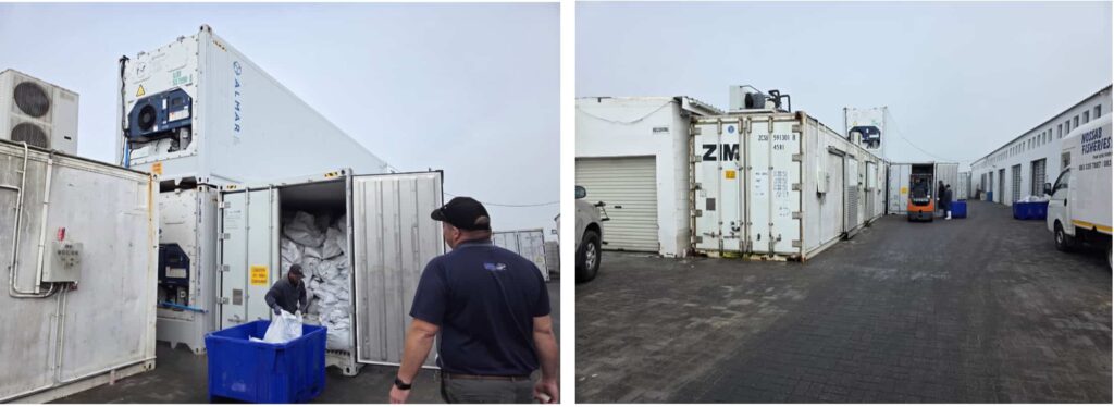Almar refrigerated containers providing cold storage for seafood at Nossab Fisheries in Velddrif, South Africa